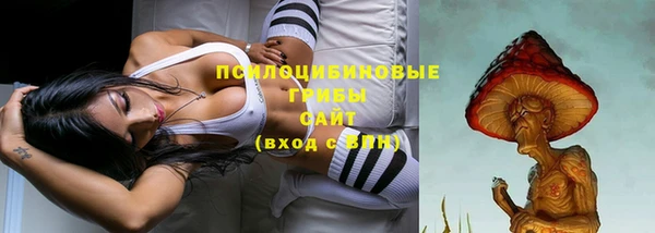прущие крисы Тутаев