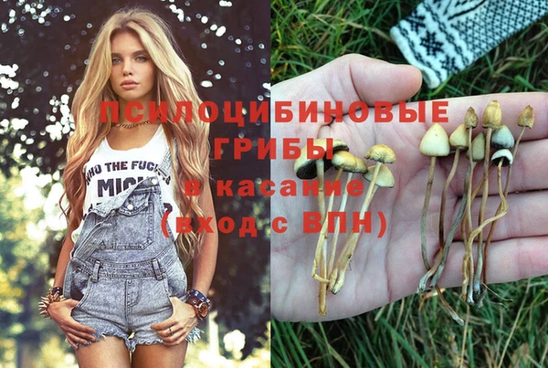 прущие крисы Тутаев