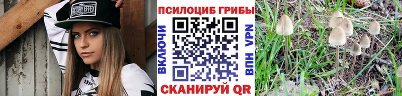 Псилоцибиновые грибы Magic Shrooms  Шатура 