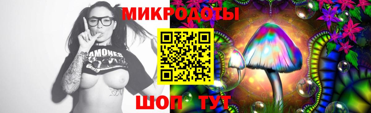 Псилоцибиновые грибы Psilocybine cubensis Шатура